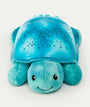 Twinkling Twilight Turtle - Aqua