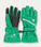 Arctic Ski gloves - Green Constellation