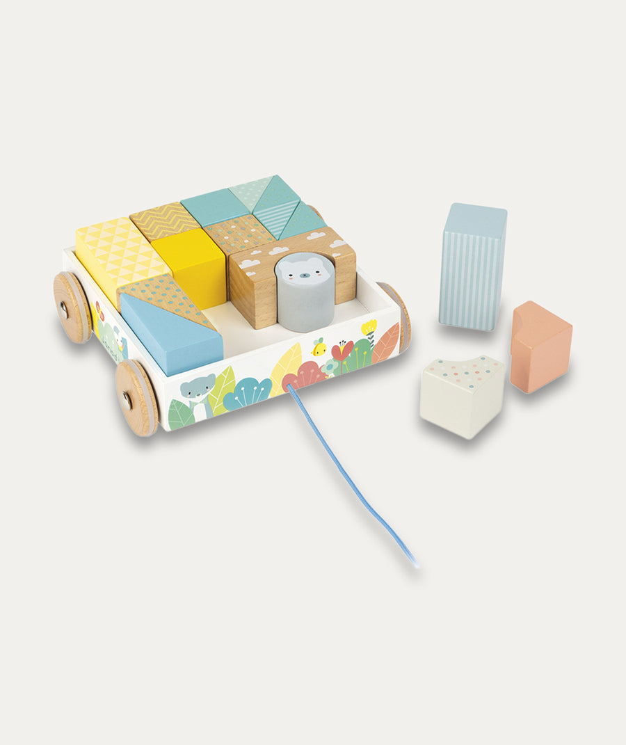 Pure Pull Along Blocks Cart - Multi