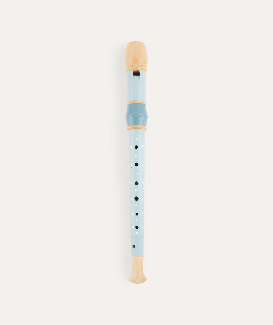 Recorder - Spotty